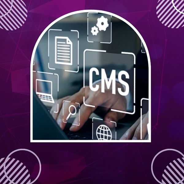 How to Choose the Right CMS for Your Business Website | Connect Infosoft