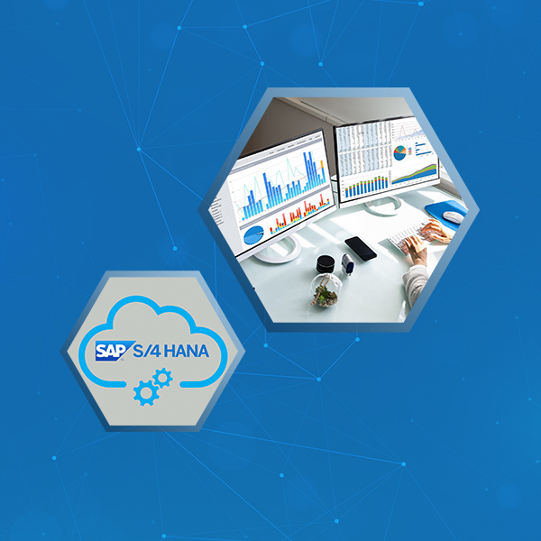 SAP ECC vs. SAP ERP S/4 HANA: Which One Is Right for You?